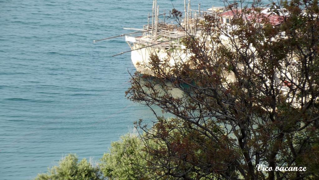 B&B Vico Vacanze Vico Del Gargano Ngoại thất bức ảnh
