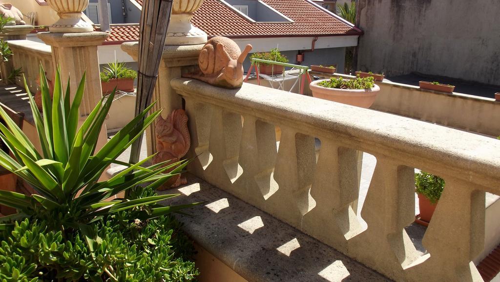 B&B Vico Vacanze Vico Del Gargano Ngoại thất bức ảnh