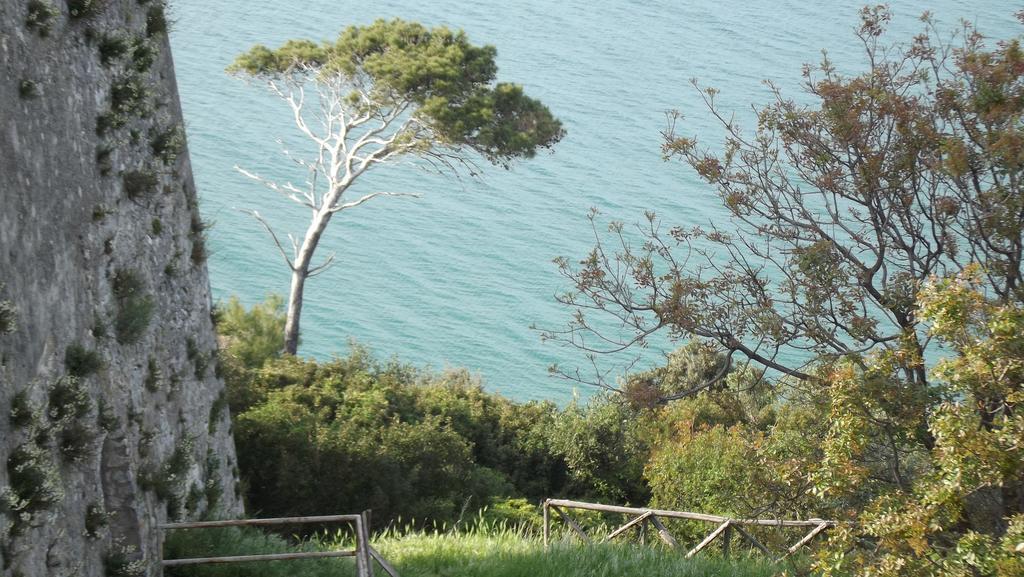 B&B Vico Vacanze Vico Del Gargano Ngoại thất bức ảnh