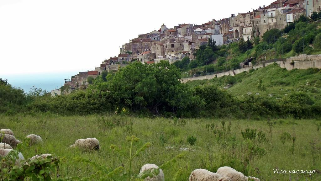 B&B Vico Vacanze Vico Del Gargano Ngoại thất bức ảnh